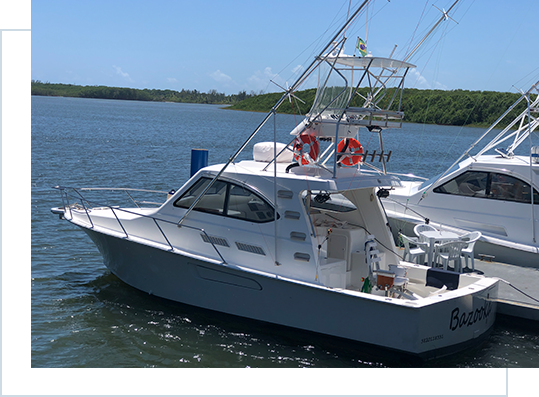 Barco de pesca esportiva Bazooka