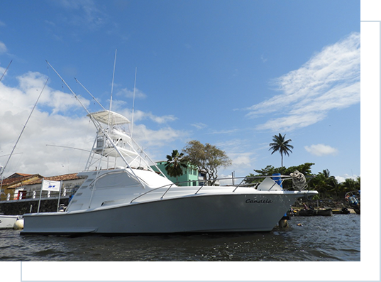 Barco de pesca esportiva Candela